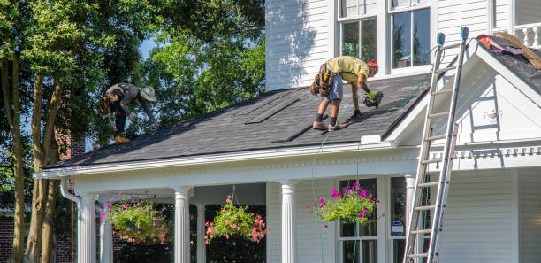 Best Roof Gutter Cleaning  in Camilla, GA