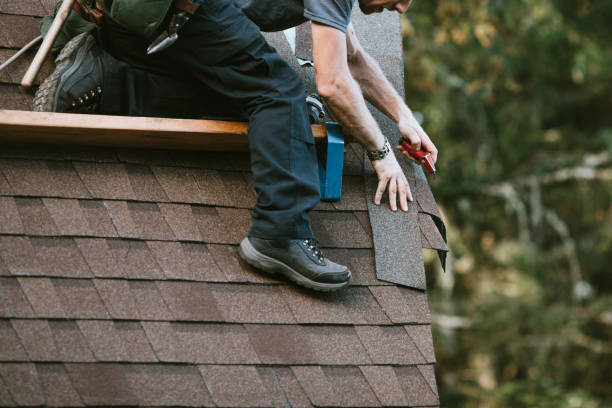 Best Roof Leak Repair  in Camilla, GA